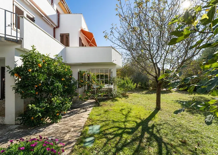 Apartman Anica-1 By Interhome Zadar