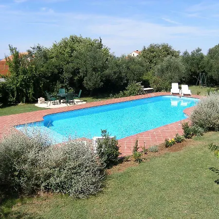 Anica-1 By Interhome Daire