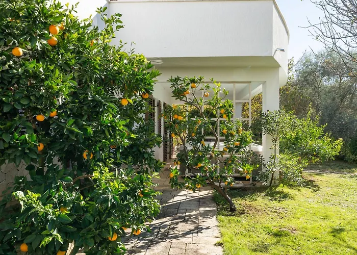 Appartamento Anica-1 By Interhome